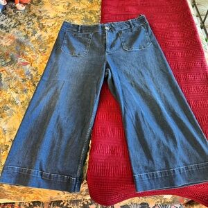 Anthropologie Pilcro skipper Jean in dark wash